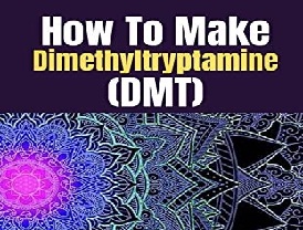 How To Make DMT, Background and aims, How to Make Dmt Made Simple