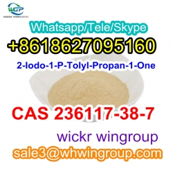 CAS 236117-38-7 2-Iodo-1- (4-methylphenyl) -1-Propanone Bulk in Stock WhatsApp+8618627095160
