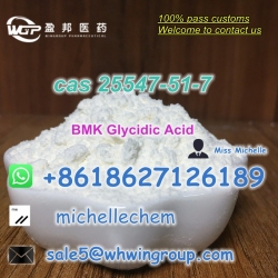  +8618627126189 25547-51-7 BMK Glycidic Acid