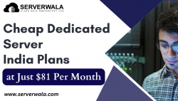 Cheap Dedicated Server India Plans at Just $81 Per Month