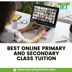 Best Online Primary and Secondary Class Tuition, Everydaytuition