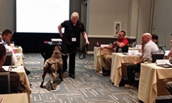 Employee Dog Bite Prevention: Ensuring a Safe Workplace Environment