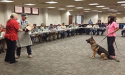 Employee Dog Bite Prevention: Ensuring a Safe Workplace Environment