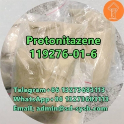 Protonitazene CAS 119276-01-6	The most popular	D1