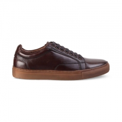 Buy Piazza Brown Sneakers for Men at Tresmode 