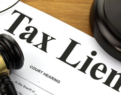 Dive into Wealth: Explore Tax Lien Investments Today