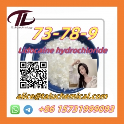 HOT SELL Lidocaine hydrochloride 73-78-9
