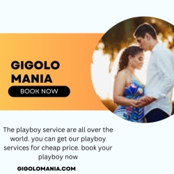 GigoloMania-The playboy agency