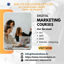 Digital marketing Training institute Near Me