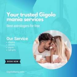 The Best Playboy service experience
