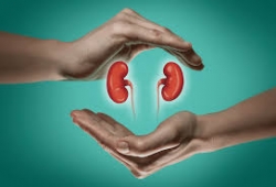 KIDNEY TRANSPLATING