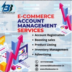 The Backbone of E-Commerce: Marketplace Service Providers