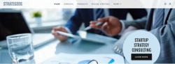Top Business Consulting Firm in India