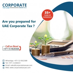 Corporate Tax assessment