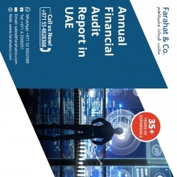 Annual Financial Audit Report in UAE