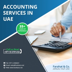 Expert Accounting Services in the UAE 