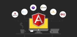Looking for a skilled AngularJS developer to join Novus Logics?