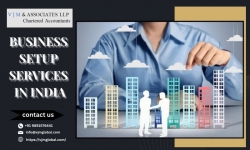 VJM Global: Your Expert Guide to Business Setup Services in India