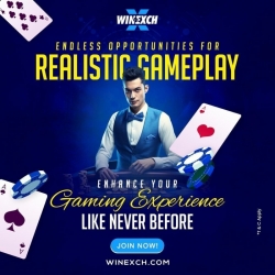 Andar Bahar Live Casino Showdown: Gaming at Winexch