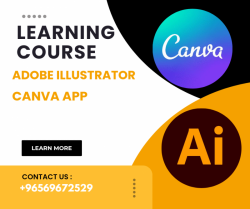 Professional teaching online illustrator canva app