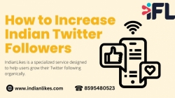 How to Increase Indian Twitter Followers - IndianLikes