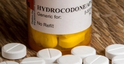 Buy Hydrocodone Online To Get Maximum Rewards, Montana, USA, hydrocodone acetaminophen in spanish