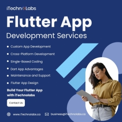 Basic Flutter App Development Services - iTechnolabs