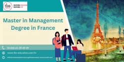 Best Master Degrees in Management in France for 2024