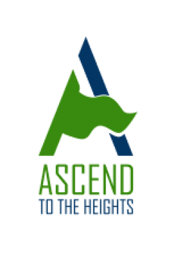 Ascend To The Heights
