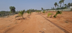 Land for sale Hyderabad suitable for plots and Houses to sell 
