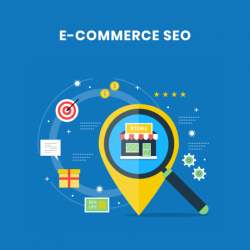 Affordable ecommerce SEO packages in Delhi