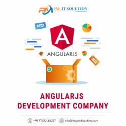 Angular JS web development company  | PM IT Solution