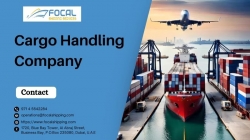 Best Cargo Handling Company - Focal Shipping