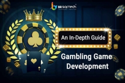 Online Gambling Software Providers in India