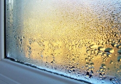 condensation in home
