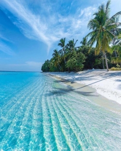 Top 10 Luxury Travel Companies