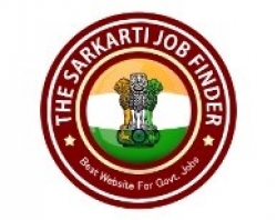 government job vacancy