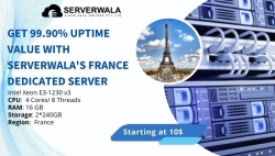 Get 99.90% Uptime Value with Serverwala's France Dedicated Server
