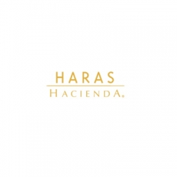 HARAS HACIENDA