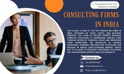 Find the Perfect Consulting Partner for Your Business Growth in India