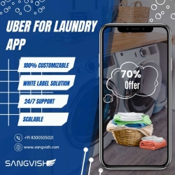 Launch an Uber for Laundry App in 2024