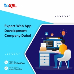 Outstanding Python Application Development Company in Dubai | ToXSL Technologies