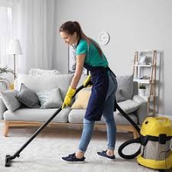 Best Area Rug Cleaner Bal Harbor