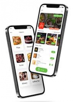 Invoidea is the Best Food Delivery App Development company in delhi