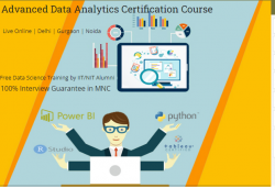 What are the most common challenges faced by Data Analyst today? Updated and #1 Institute 