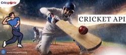 Fast & Accurate Cricket Live Line API for Your Platform