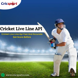 Top Cricket API Provider for Real-Time Live Scores & Stats â€“ Cricsportz