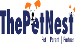 Pet Grooming Hyderabad - By ThePetNest 
