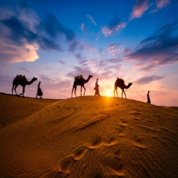 Rajasthan Vacation Packages – Book Heritage & Desert Tours