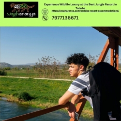 Experience Wildlife Luxury at the Best Jungle Resort in Tadoba